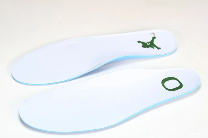 Duckman Ducks Retro Jordan 4 257-255275 Oregon 0724